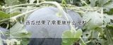 西瓜结果了需要施什么肥料