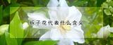 栀子花代表什么含义