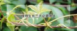 植物生长三大必要条件