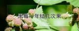 黑莓一年结几次果