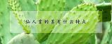 仙人掌的茎有什么特点