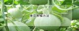 香瓜种植方法