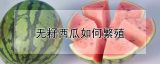 无籽西瓜如何繁殖