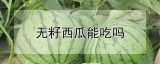 无籽西瓜能吃吗