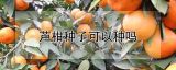 芦柑种子可以种吗