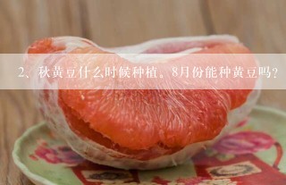 秋黄豆什么时候种植。8月份能种黄豆吗？