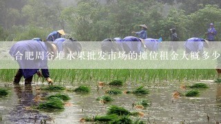 合肥周谷堆水果批发市场的摊位租金大概多少啊 最好的市口有多贵啊 知道的来 全部分都给了