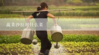 蔬菜沙拉用什么菜