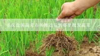 重庆盘溪蔬菜市场搬迁后到哪里批发蔬菜