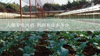 大棚养殖肉鸡 利润和成本多少