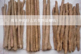 现在种植什么农作物最赚钱？