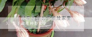 关于蔬菜种类大全