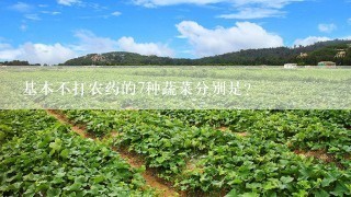 基本不打农药的7种蔬菜分别是?