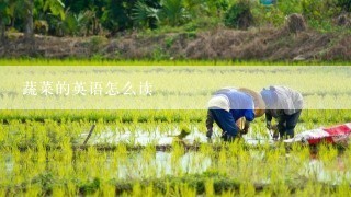 蔬菜的英语怎么读