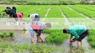 哪些蔬菜水果是温性、寒性、凉性与平性的？？