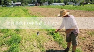 大白菜的100种菜谱是什么？