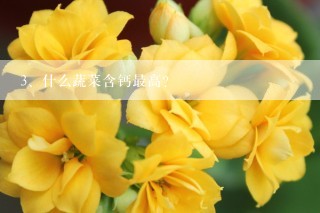 什么蔬菜含钙最高？