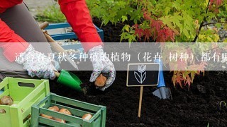 适合春夏秋冬种植的植物（花卉 树种）都有哪些？