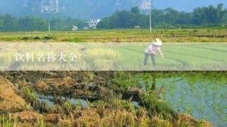 饮料名称大全