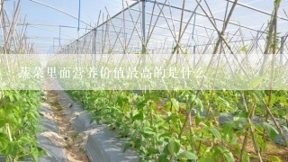 蔬菜里面营养价值最高的是什么