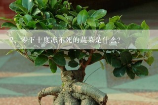 零下十度冻不死的蔬菜是什么?