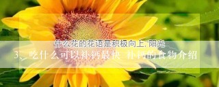 吃什么可以补钙最快 补钙的食物介绍