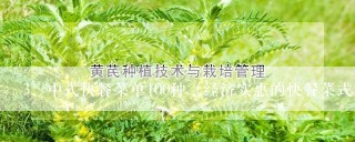 中式快餐菜单100种（经济实惠的快餐菜式）