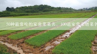 50种最常吃的家常菜菜名，100道家常菜谱菜名有什么