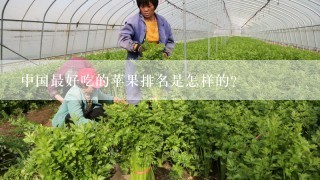 中国最好吃的苹果排名是怎样的？