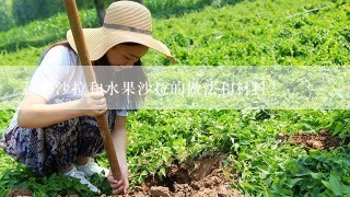 蔬菜沙拉和水果沙拉的做法和材料？