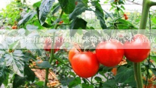 不是所有的东西都能往冰箱里放的，不适宜放入冰箱的食物有哪些？