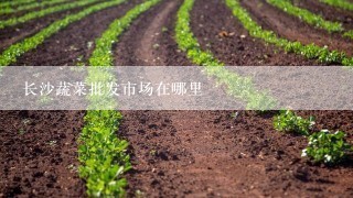 长沙蔬菜批发市场在哪里