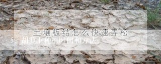 胡萝卜种植时间和方法