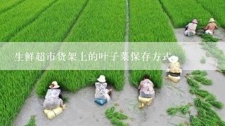 生鲜超市货架上的叶子菜保存方式