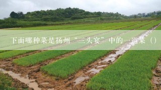 下面哪种菜是扬州“三头宴”中的一道菜（）。