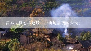 简易大棚怎样建设，一亩地需要多少钱？