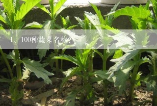 100种蔬菜名称？