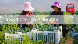 有知道那里在找温室大棚施工队的