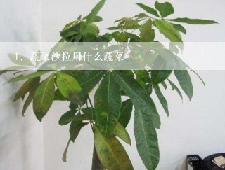 蔬菜沙拉用什么蔬菜