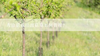 秀珍菇栽培出菇期如何管理？