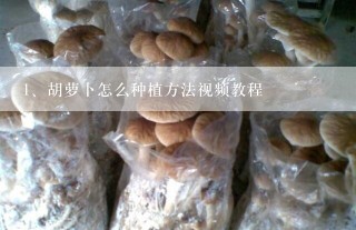 胡萝卜怎么种植方法视频教程