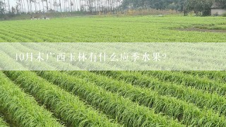 10月末广西玉林有什么应季水果？