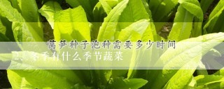 冬季有什么季节蔬菜