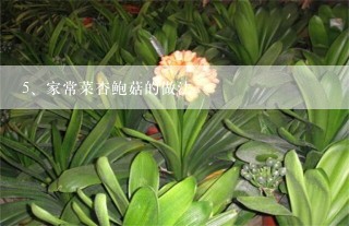 家常菜杏鲍菇的做法