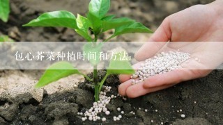 包心芥菜种植时间和方法