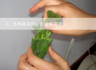 各种蔬菜的营养价值及功效