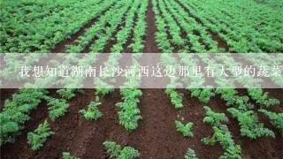 我想知道湖南长沙河西这边那里有大型的蔬菜基地。。？有人知道吗？