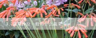 蔬菜沙拉一般用什么蔬菜