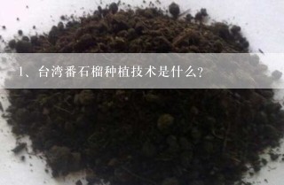 台湾番石榴种植技术是什么？