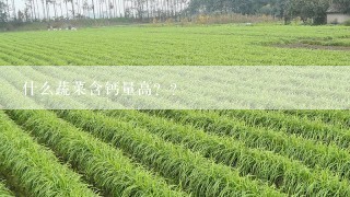 什么蔬菜含钙量高？？